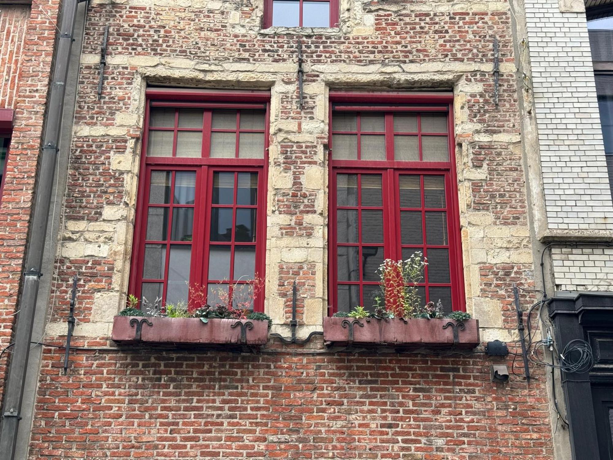 Garden Loft In City Center Meir 1Fl Antwerp Luaran gambar